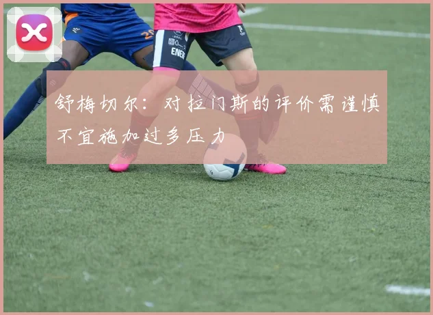 舒梅切尔：对拉门斯的评价需谨慎不宜施加过多压力